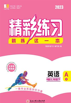 【精彩练习】2022-2023学年七年级下册初一英语教师用书课件PPT（人教版）杭州专用