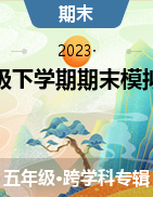 四川省泸州市合江县2022-2023学年五年级下学期期末模拟试题