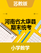 河南省周口市太康县数学一-六年级下学期期末考试 2020-2021学年 