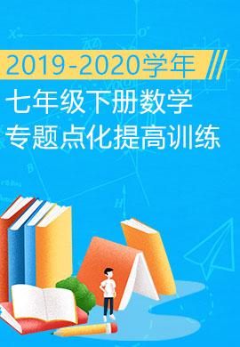 2019-2020学年七年级下册初一数学专题点化提高训练