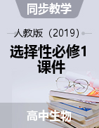 2022-2023學(xué)年高二上學(xué)期生物人教版選擇性必修1 課件