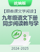 【跟著課文學(xué)閱讀】2024-2025學(xué)年九年級(jí)語(yǔ)文下冊(cè)同步閱讀教與學(xué)（統(tǒng)編版）