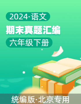 2023-2024学年六年级语文下学期期末备考真题分类汇编（北京专用）
