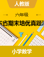 廣東省期末培優(yōu)真題匯編-2024-2025學(xué)年六年級(jí)上冊(cè)數(shù)學(xué)人教版