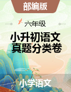 北京市2019年～2020年小升初语文部编版真题分类卷 （有答案，含解析）   