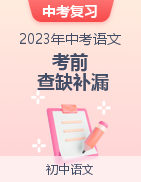 2023年中考語文考前查缺補漏試題（廣東專用）