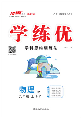 （講解課件）【優(yōu)翼·學(xué)練優(yōu)】2024-2025學(xué)年九年級(jí)物理下冊同步備課（滬粵版）