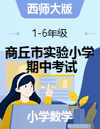 河南省商丘市实验小学数学一-六年级第二学期期中考试 2020-2021学年（西师大版，含答案，PDF）