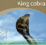 King cobra