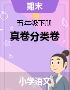 北京市五年级语文下册期末真卷分类卷（有答案，含解析）