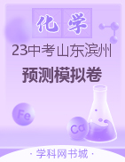 2023年山东省滨州市化学学业水平考试预测模拟卷(2套)