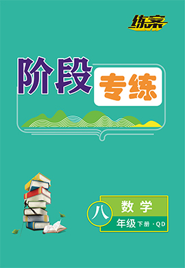 【導與練】2022-2023學年八年級下冊初二數(shù)學同步練案階段專練（青島版）