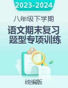 2023-2024學(xué)年八年級(jí)語(yǔ)文下學(xué)期期末復(fù)習(xí)題型專(zhuān)項(xiàng)訓(xùn)練（統(tǒng)編版）