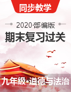 2020-2021学年九年级道德与法治上学期期末复习过关（部编版）