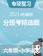 分班考精選題-2022-2023年級小升初統(tǒng)編版