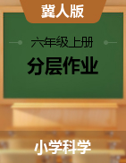 2024-2025學(xué)年科學(xué)六年級上冊同步分層作業(yè)設(shè)計系列 （冀人版）