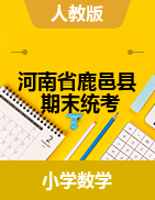 河南省周口市鹿邑县数学一-六年级下学期期末考试 2020-2021学年 