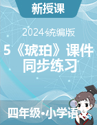 2023-2024學(xué)年四年級(jí)下冊(cè)語(yǔ)文5《琥珀》課件+同步練習(xí)（統(tǒng)編版）