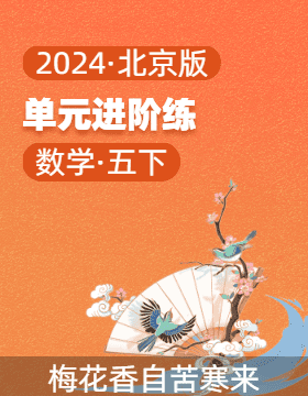 2023-2024学年五年级数学下册单元培优进阶练（北京版）