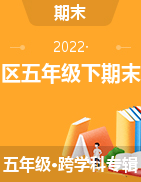 山东省临沂市兰山区2021-2022学年五年级下学期期末试题
