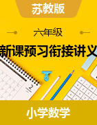 新課預(yù)習(xí)銜接講義-2024-2025學(xué)年六年級上冊數(shù)學(xué)蘇教版