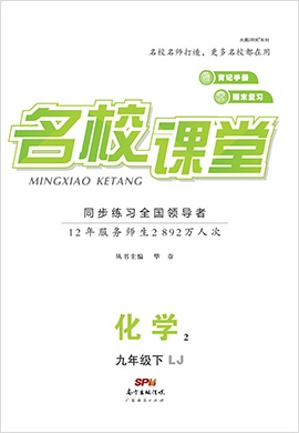 【名校課堂】2020-2021學(xué)年九年級下冊初三化學(xué)（魯教版）（全國）書稿