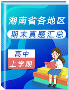 湖南省各地区2020-2021学年高中上学期期末考试真题卷汇总