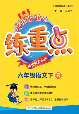 2021-2022小学下册【黄冈小状元·练重点】系列 各学科