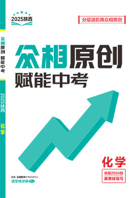 -【眾相原創(chuàng)·賦能中考】2025年中考化學(xué)分層進(jìn)階練習(xí)冊（陜西專用）