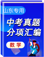 2020年中考數(shù)學(xué)真題分項(xiàng)匯編（山東專用）