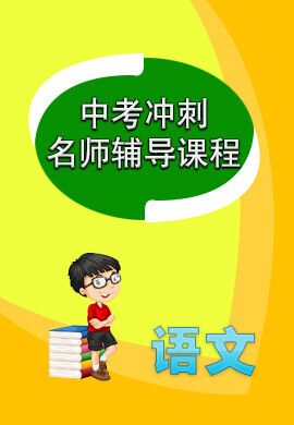中考语文冲刺名师辅导课程