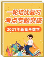 2021年新高考數(shù)學一輪培優(yōu)復習考點專題突破