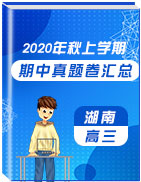 湖南省各地区2021届高三上学期期中考试真题卷汇总
