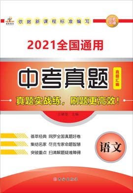 2020中考语文真题汇编（2021全国通用）