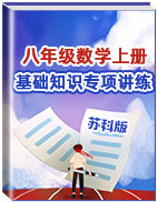 2020-2021学年八年级数学上册基础知识专项讲练（苏科版）