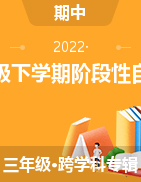 陕西省咸阳市泾阳县2021-2022学年三年级下学期阶段性自测试题