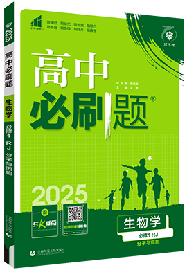 【高中必刷題】2024-2025學(xué)年新教材高中生物必修1同步課件 (人教版)