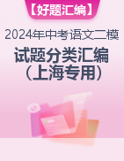 【好题汇编】2024年中考语文二模试题分类汇编（上海专用）