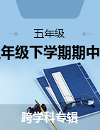湖南省益阳南县第五完全小学2022-2023学年五年级下学期期中考试试题