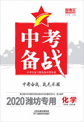 2020山东潍坊中考化学【智考王·中考备战】