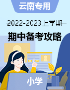 2022-2023学年小学上学期期中复习备考攻略（云南专用）
