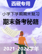 2021-2022学年小学下学期期末复习备考秘籍（西藏专用）