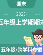 甘肃省定西市临洮县2022-2023学年五年级上学期期末试题