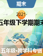 【真题】甘肃省白银市靖远县五年级下学期期末试题 2020-2021学年