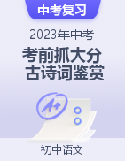 2023年中考語文考前抓大分技法之古詩詞鑒賞