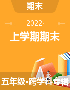 湖南省邵阳市邵阳县2021-2022学年五年级上学期期末学情监测试题