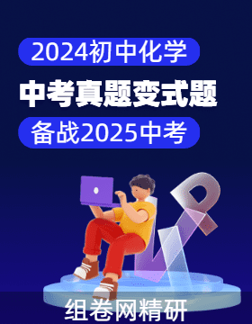 2024年中考化學(xué)真題變式題