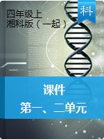 【科学】四年级上册科学课件｜湘科版  第一、二单元