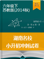 六年级下册数学试题--2019年湖南省名校小升初数学冲刺试卷   苏教版（2014秋）含答案
