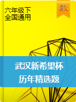 武汉市新希望杯历年精选题（图片版，含答案） 通用版